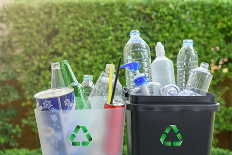 Plastic & Paper Recycling